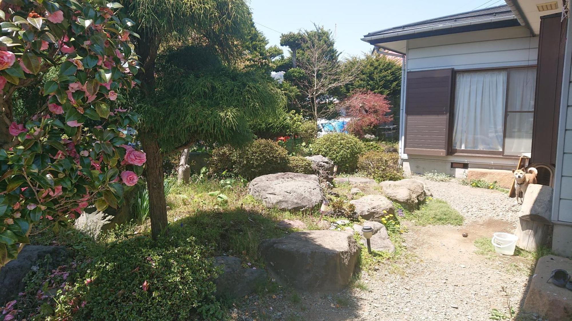 T&T Fujiyama Guest House Fujiyoshida Eksteriør bilde