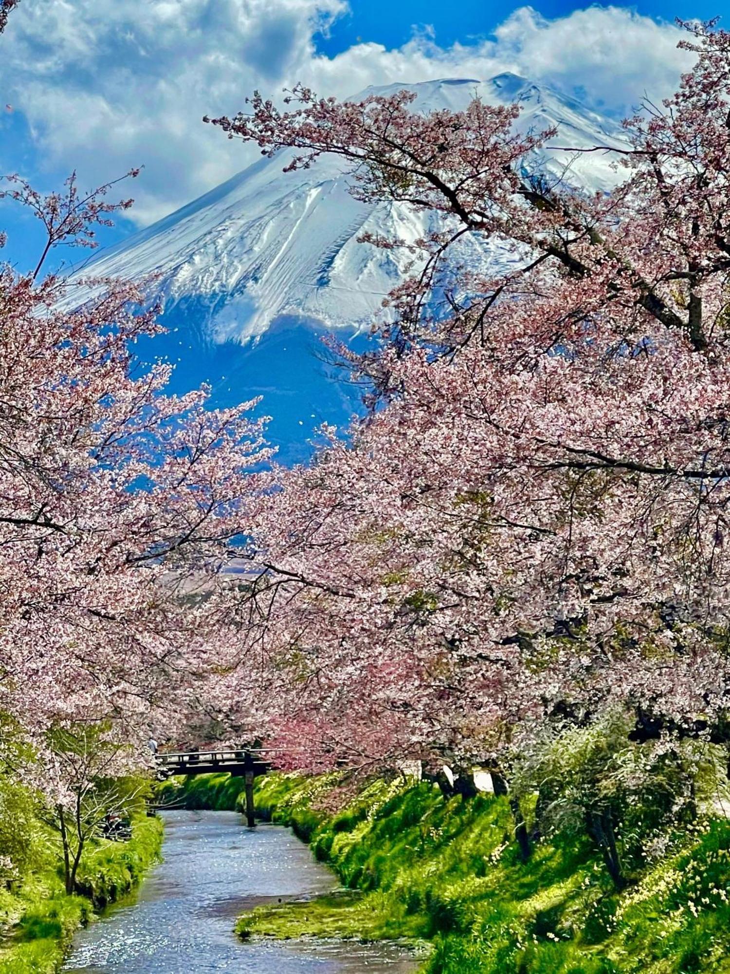 T&T Fujiyama Guest House Fujiyoshida Eksteriør bilde